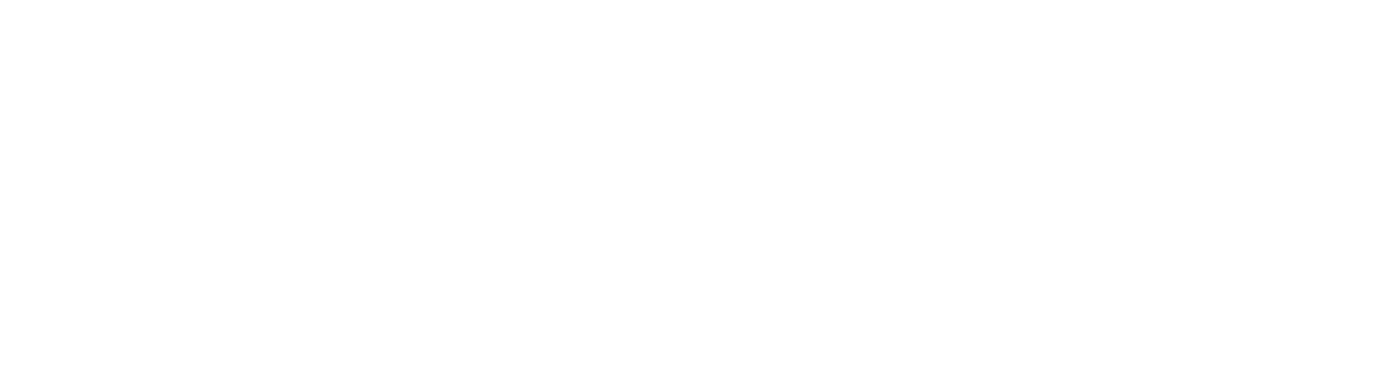 FlyWash